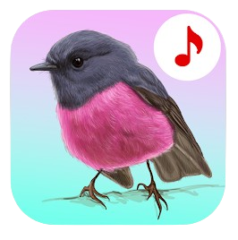 Bird Songs