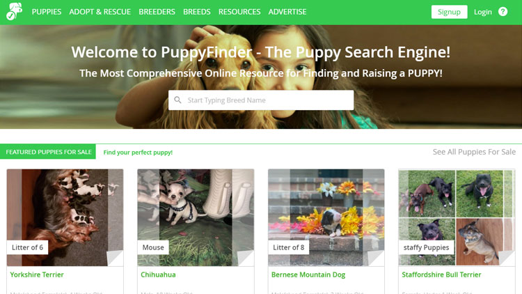 Puppy Finder